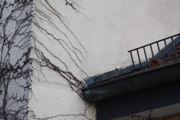 Gegengutachten bezüglich eines Schimmelschadens in Bamberg, Förtsch Experts