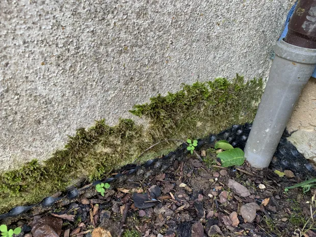 Gutachten eines Feuchte- und Wasserschadens in einer Garage in München